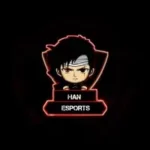 Han esports injector (Latest Version v56)